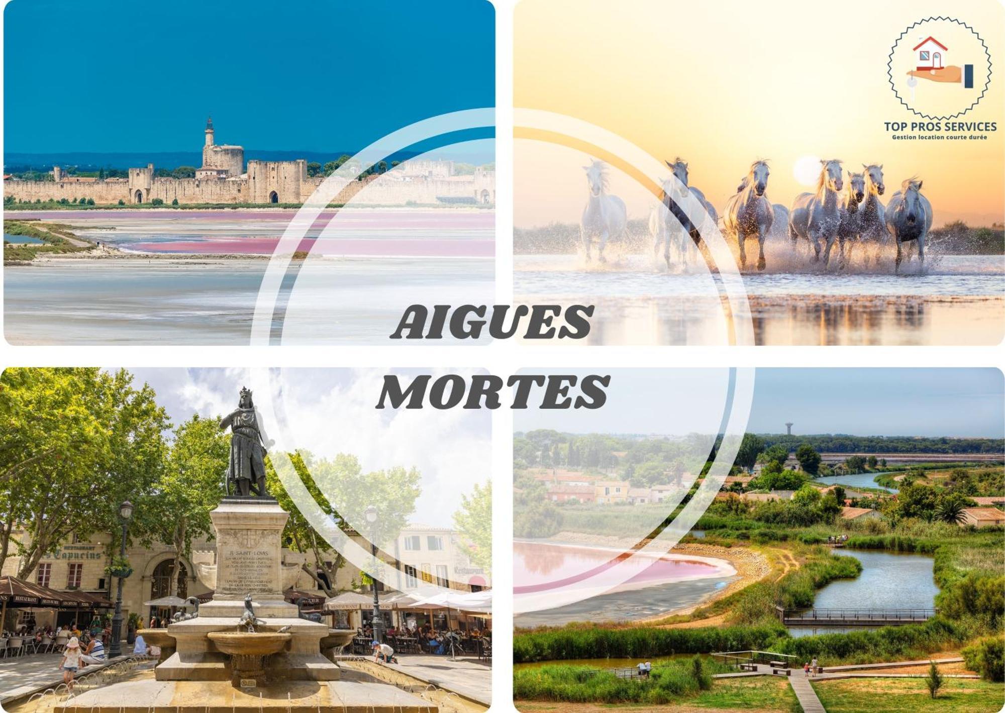 Les Marines Port 2 Min Plage Camargue- Top Pros Services Conciergerie La Grande Motte Mauguio Eksteriør bilde